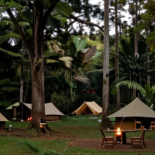 Camping PachaMama: O Refúgio Perfeito para os Amantes da Natureza