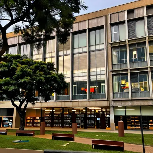Descubra a Biblioteca