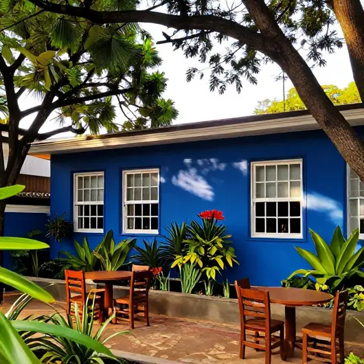 Descubra a Casa Azul BSB Descubra a Casa Azul BSB