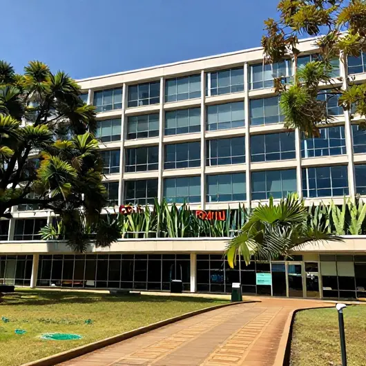 Descubra o Centro de Excelência do Cerrado