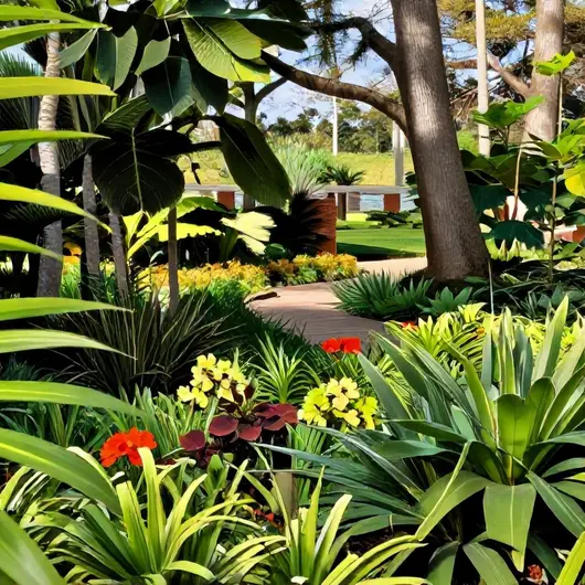 Descubra o Jardim Botânico de Brasília