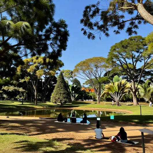 Descubra o Parque Ecológico Das Sucupiras