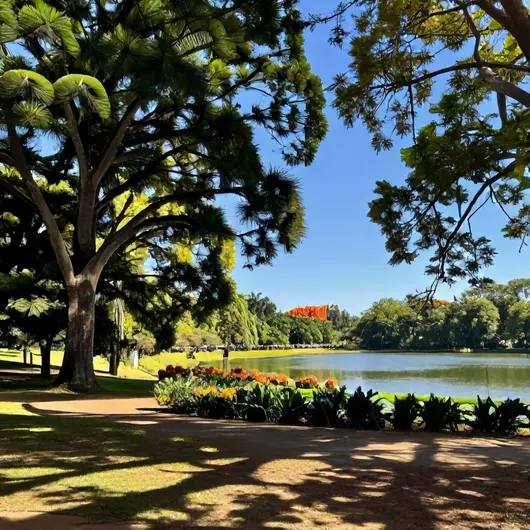 Descubra o Parque Ecológico Ermida Dom Bosco em Brasília: Um Refúgio Natural Descubra o Parque Ecológico Ermida Dom Bosco em Brasília: Um Refúgio Natural