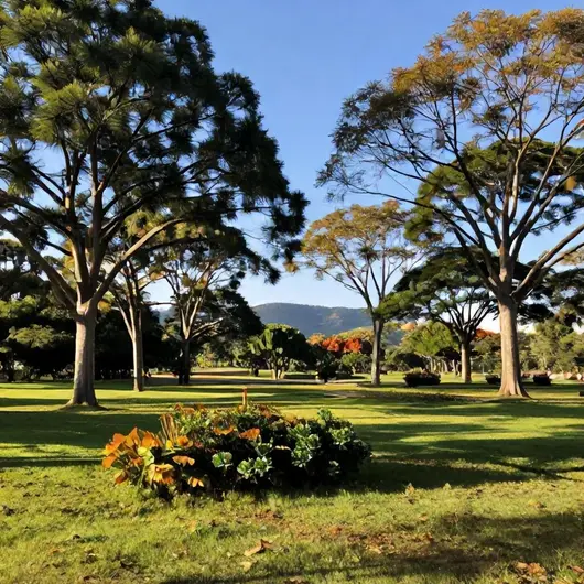 Descubra o Parque Estadual Águas do Paraíso