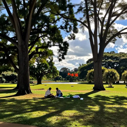 Descubra o Parque Olhos D'Água