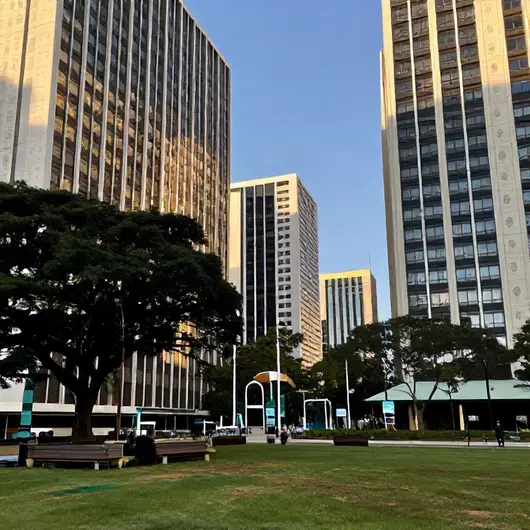 Descubra o Que Há de Melhor em DF