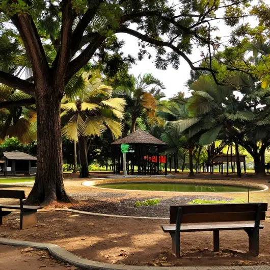 Descubra o Sítio Paraíso