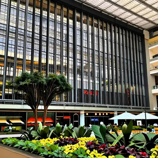 Descubra o St. Paul Plaza