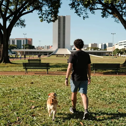 Explorando Brasília com Seu Animal de Estimação: Dicas e Sugestões Explorando Brasília com Seu Animal de Estimação: Dicas e Sugestões