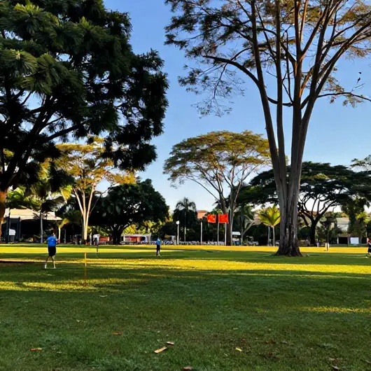 Explorando os Parques da Cidade