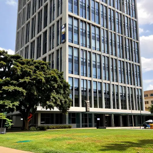Institucional