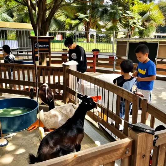 Pet Farm