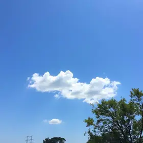 Previsão do tempo hoje para Brasília (DF): sol o dia todo sem nuvens no céu; noite de tempo aberto ainda sem nuvens previsão do tempo Brasília