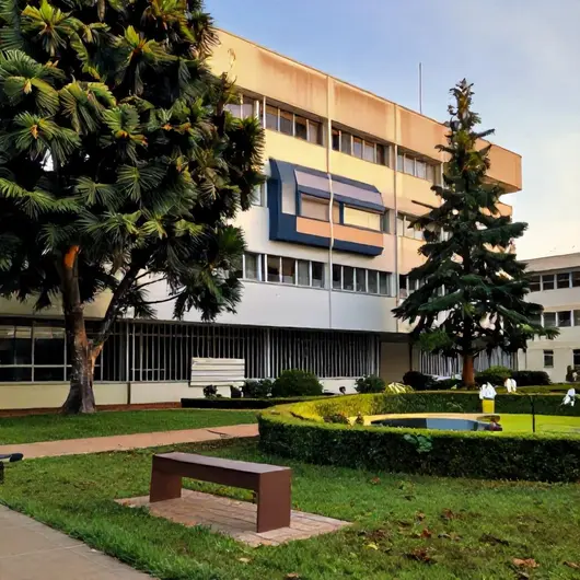 Serviço de Proteção Social Especial para pessoas com deficiência e suas famílias