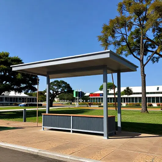 Transfer ida ou volta: Sua conexão com Brasília