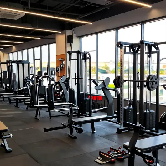 Ultra Academia: Transforme Seu Corpo e Sua Vida